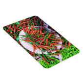 バードアイチリピーマン マグネット (右側)