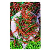 バードアイチリピーマン マグネット (縦)