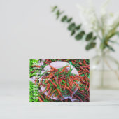 バードアイチリピーマン 名刺 (スタンド正面)