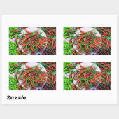 バードアイチリピーマン 長方形シール (シート)