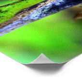 バードアイバタフライ ポスター (角)