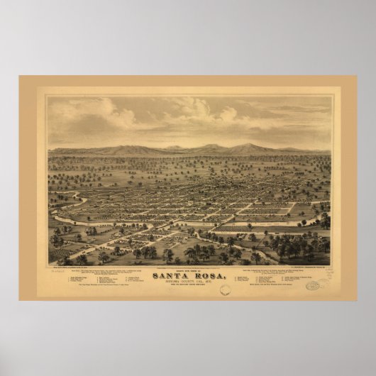 バードアイビューサンタローザ ポスター (正面)