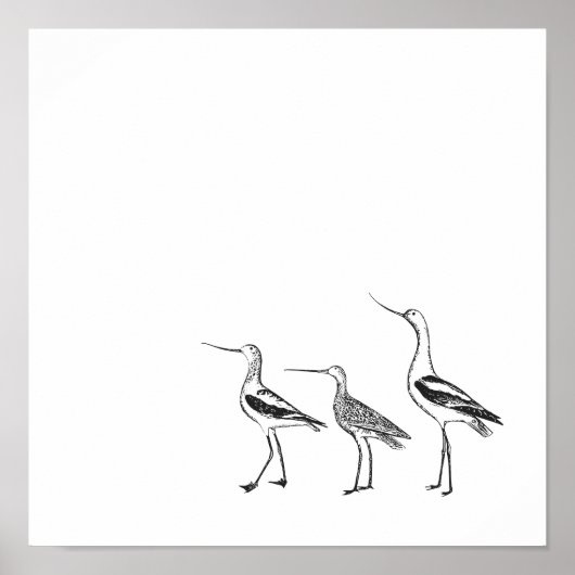 バードアートミニマルスケッチイン白黒 ポスター (正面)