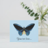 バードウィング・バタフライ ポストカード (スタンド正面)