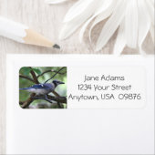 バードウォッチャー！かわいらしジェイ青パーソナライズされた ラベル (インサイチュ)