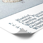 バードエッグプレートCヴィンテージ自然史 ポスター (角)