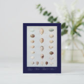 バードエッグプレートCヴィンテージ自然史 ポストカード (スタンド正面)