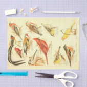 バードエフェメラデクページ（鳥）ショウジョウコウカンチョウ 薄葉紙 (クラフト)