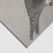 バードエフェメラデコップグレーホーク 薄葉紙 (詳細)