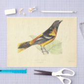 バードエフェメラデコパージュイエローオレンジオリオール 薄葉紙 (クラフト)