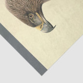 バードエフェメラデコパージュブラウンイーグル 薄葉紙 (詳細)