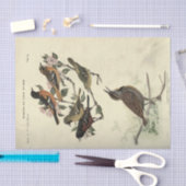 バードエフェメラデコペフローラ花 薄葉紙 (クラフト)