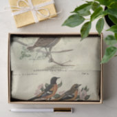 バードエフェメラデコペフローラ花 薄葉紙 (ギフト)