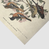 バードエフェメラデコペフローラ花 薄葉紙 (詳細)