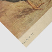 バードエフェメラデコペヴィンテージルースターヘンバーン 薄葉紙 (詳細)