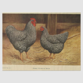 バードエフェメラデコペヴィンテージルースターヘンバーン 薄葉紙