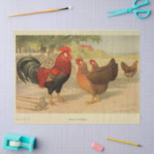 バードエフェメラデコペヴィンテージルースターヘンファーム 薄葉紙 (クラフト)