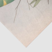 バードエフェメラデコペヴィンテージ愛鳥 薄葉紙 (詳細)