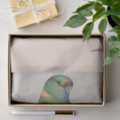 バードエフェメラデコペヴィンテージ愛鳥 薄葉紙 (ギフト)