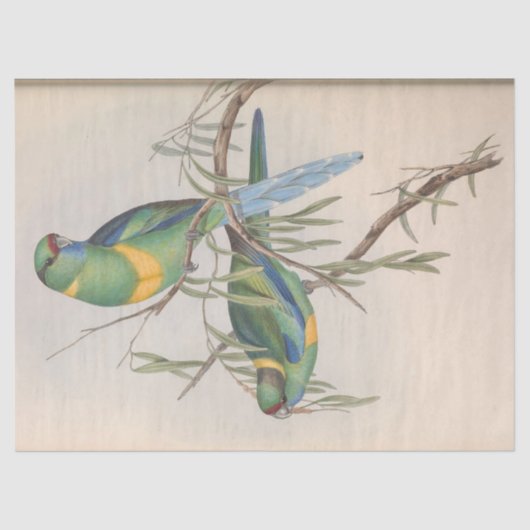 バードエフェメラデコペヴィンテージ愛鳥 薄葉紙 (正面)