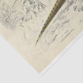 バードエフエマデコップフェフランスのーサント 薄葉紙 (詳細)