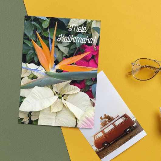 バードオブパラダイスアンドポインセティアスハワイアンフローラ シーズンカード
