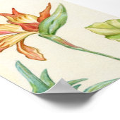 バードオブパラダイスアートプリント5 x 7 ポスター (角)