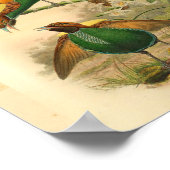 バードオブパラダイスイエローグリーンヴィンテージプリント ポスター (角)