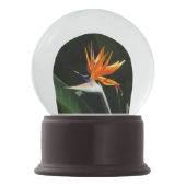 バードオブパラダイスオレンジトロピカルフラワー スノーグローブ (正面)
