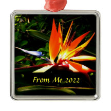 バードオブパラダイスクリスマスホリデイオーナメント