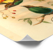 バードオブパラダイスグリーンイエローヴィンテージプリント ポスター (角)