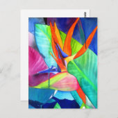 バードオブパラダイスストレリツィアフラワートロピカルアート ポストカード (正面/裏面)