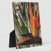 バードオブパラダイスストレリツィアレジネアクリカルパント フォトプラーク (側面)