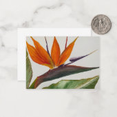 バードオブパラダイスノテカード ノートカード (正面/裏面インサイチュ)