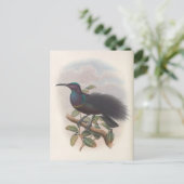 バードオブパラダイスバイジョングールドバードイラストレーション ポストカード (スタンド正面)