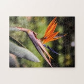 バードオブパラダイスパズル ジグソーパズル (横)