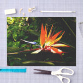 バードオブパラダイスフラワーティッシュペーパー 薄葉紙 (クラフト)