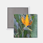 バードオブパラダイスフラワービュー冷蔵庫用マグネット マグネット (正面/裏面)