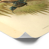 バードオブパラダイスブルーグリーンカラーヴィンテージプリント ポスター (角)