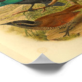 バードオブパラダイスブルーブラウンヴィンテージプリント ポスター (角)