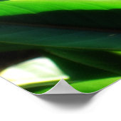 バードオブパラダイスプリント ポスター (角)