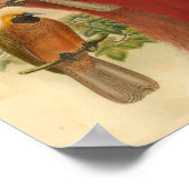 バードオブパラダイスレッドイエローヴィンテージプリント ポスター (角)