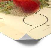 バードオブパラダイスレッドグリーンイエローヴィンテージプリント ポスター (角)