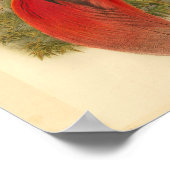 バードオブパラダイスレッドグリーンイエローヴィンテージプリント ポスター (角)