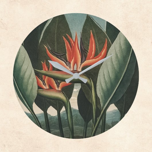 バードオブパラダイスヴィンテージテンプルオブフローラボタニカル ラージ壁時計