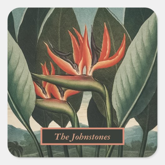 バードオブパラダイスヴィンテージフローラの寺院の名前 スクエアシール (正面)