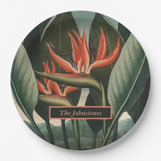 バードオブパラダイスヴィンテージフローラの寺院の名前 ペーパープレート (正面)