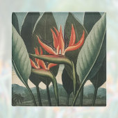 バードオブパラダイスヴィンテージ植物寺フローラ ガラスコースター