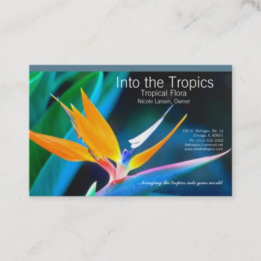 バードオブパラダイス名刺 名刺 (正面)