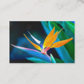 バードオブパラダイス名刺 名刺 (裏面)